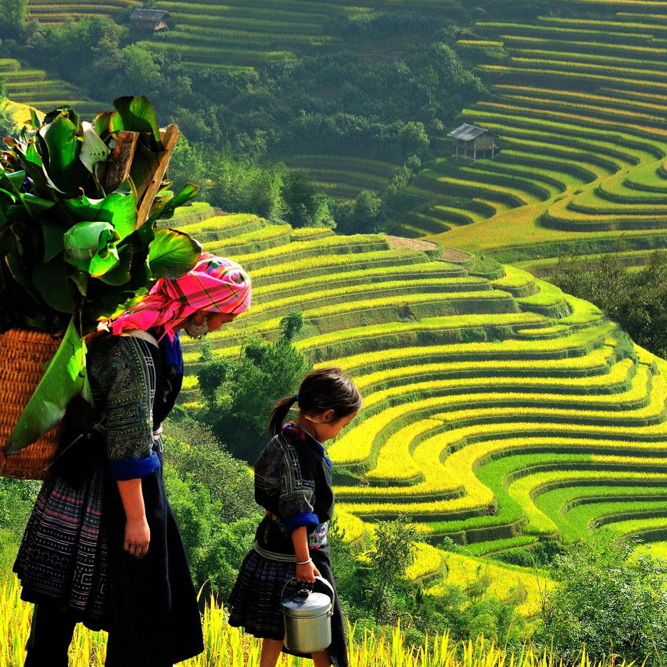 Sapa
