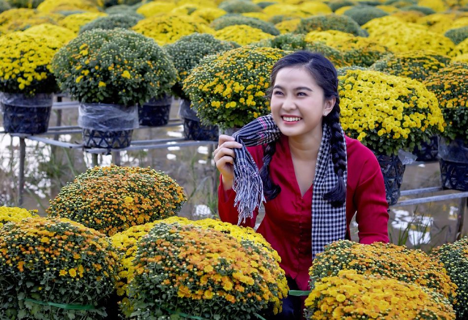 North Vietnam Tours