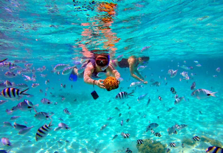 vietnam experience tours
