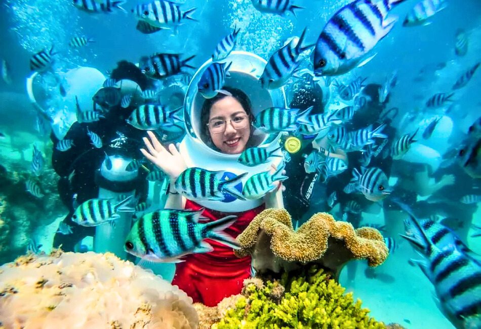 snorkeling cham island