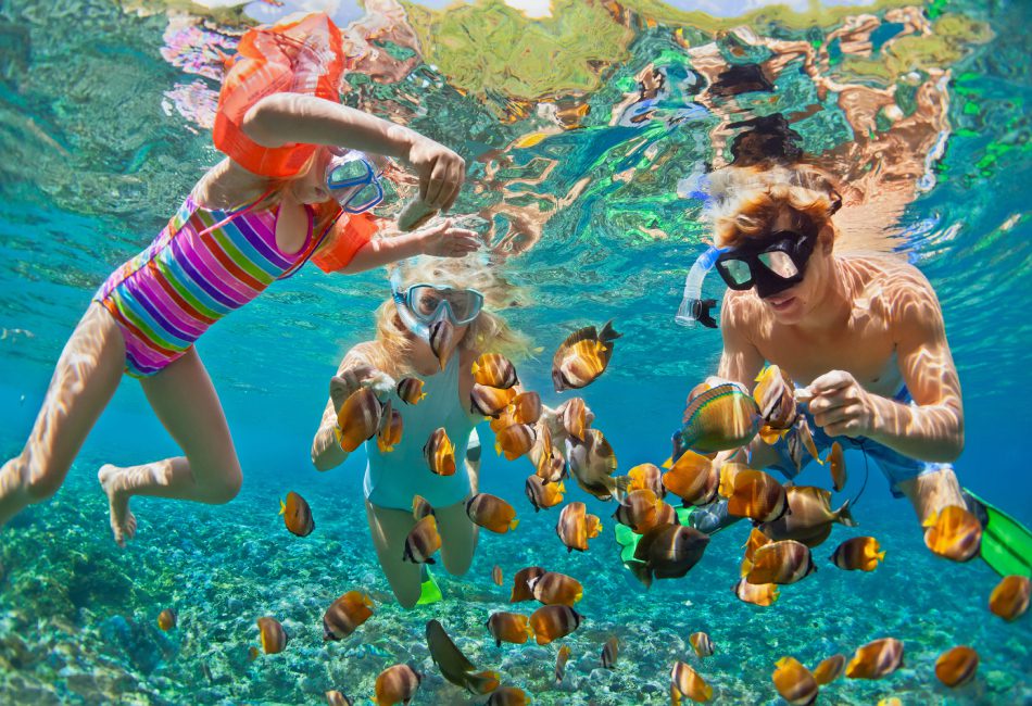 vietnam snorkeling