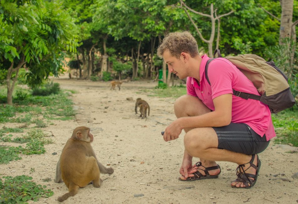 Monkey Island