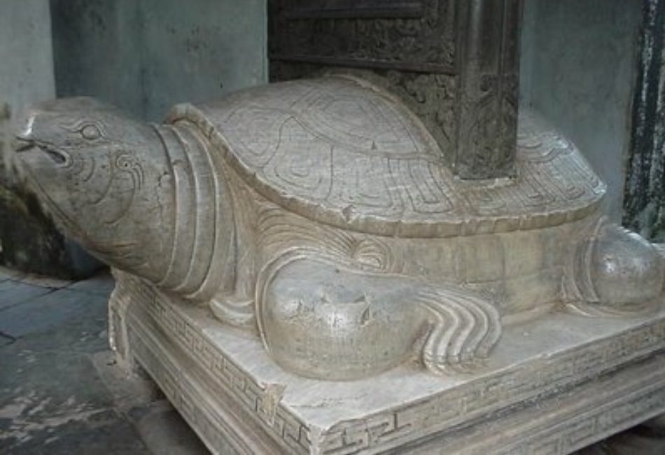 Giant Tortoise