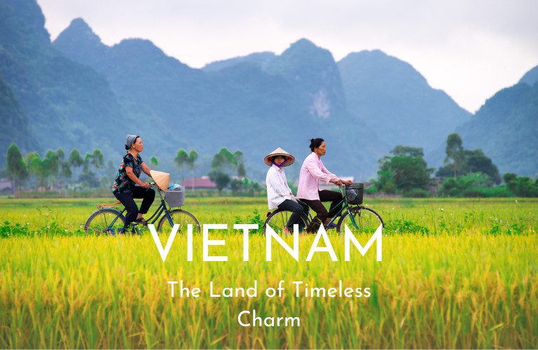 banner vietnam