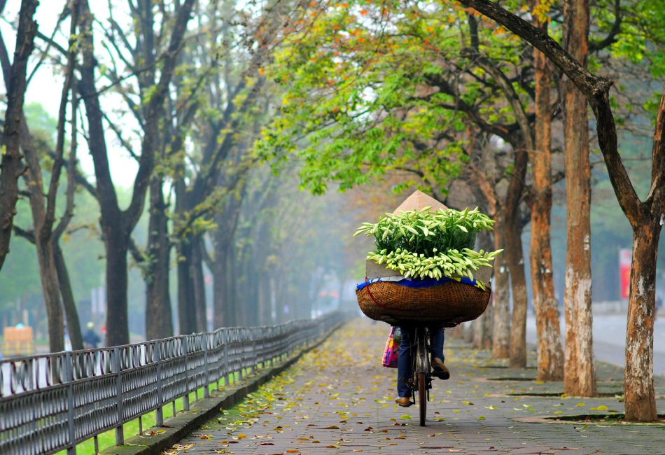 7 Days Tour Vietnam: The Best Itinerary from North to South