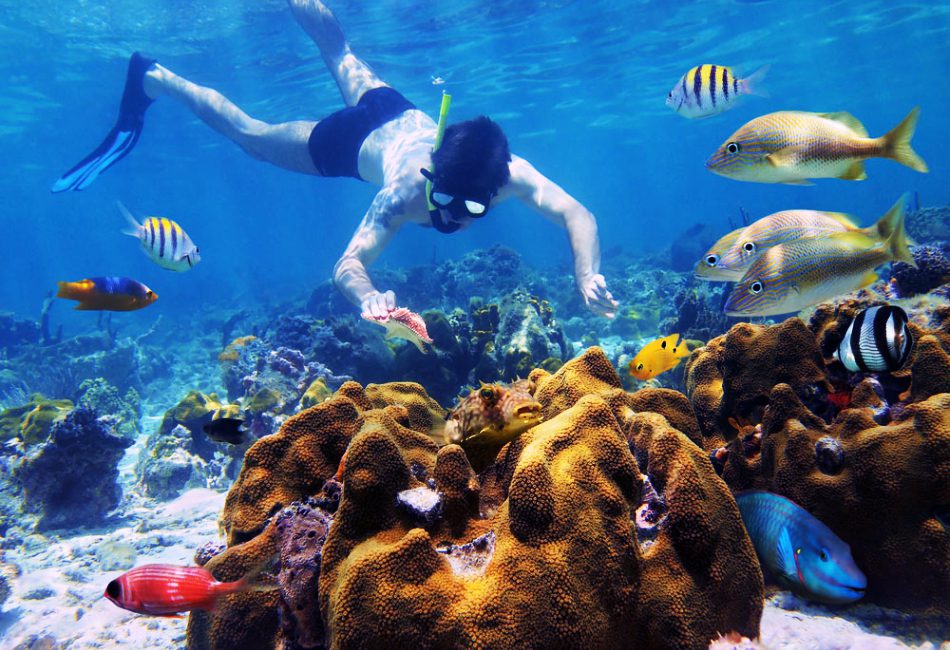 Cham Island Snorkeling Tour from Hoi An or Da Nang